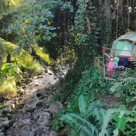 Отель Dome En Bord De Riviere Сен-Клод Экстерьер фото