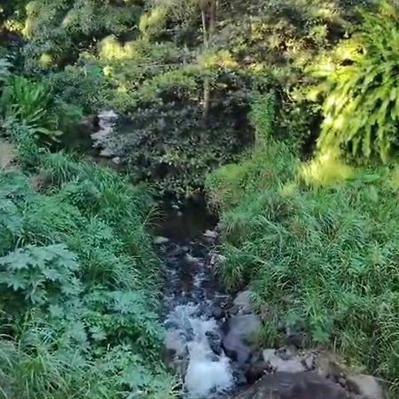 Отель Dome En Bord De Riviere Сен-Клод Экстерьер фото
